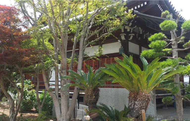 緑に囲まれたお堂